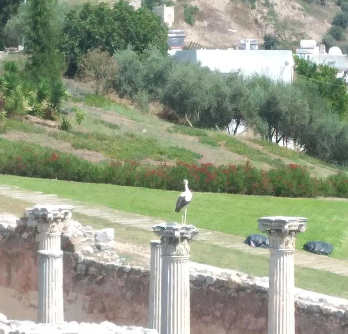 Apartman Ephesus Selcuk Castle View Suites