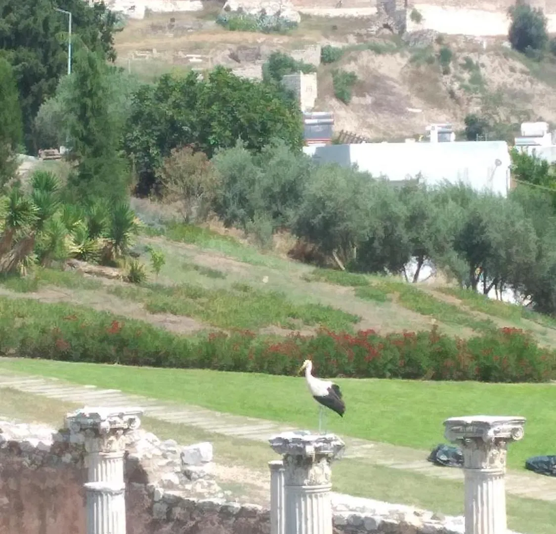 Apartment Ephesus Selcuk Castle View Suites Turkey